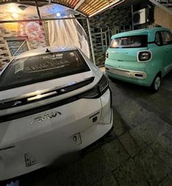 بيستون بوني